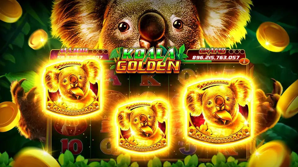 B798 APK Oficial Baixar Indonesia